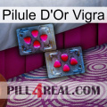 Vigra Gold Pill 15
